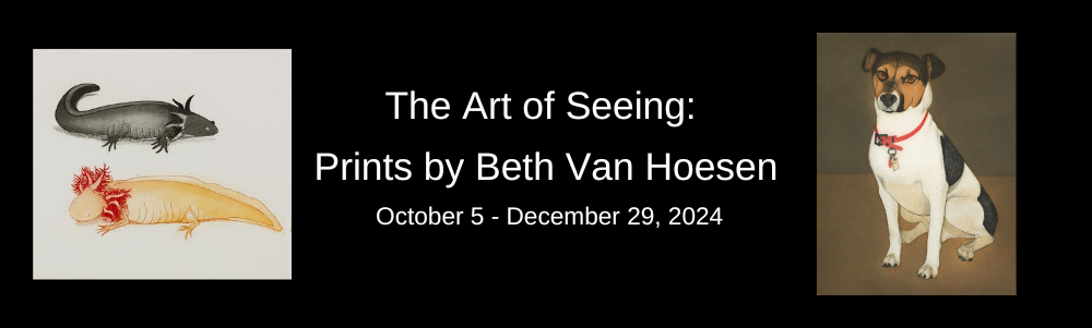 The Art of Seeing: Prints by Beth Van Hosen October 5 - December 29, 2024