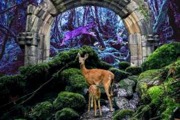 Forest with deer at center, stone gateway behind. 