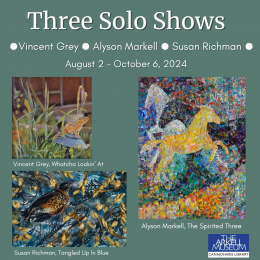 Three Solo Shows Alyson Markell, Susan Richman and Vince Grey August 2- October 6 2024